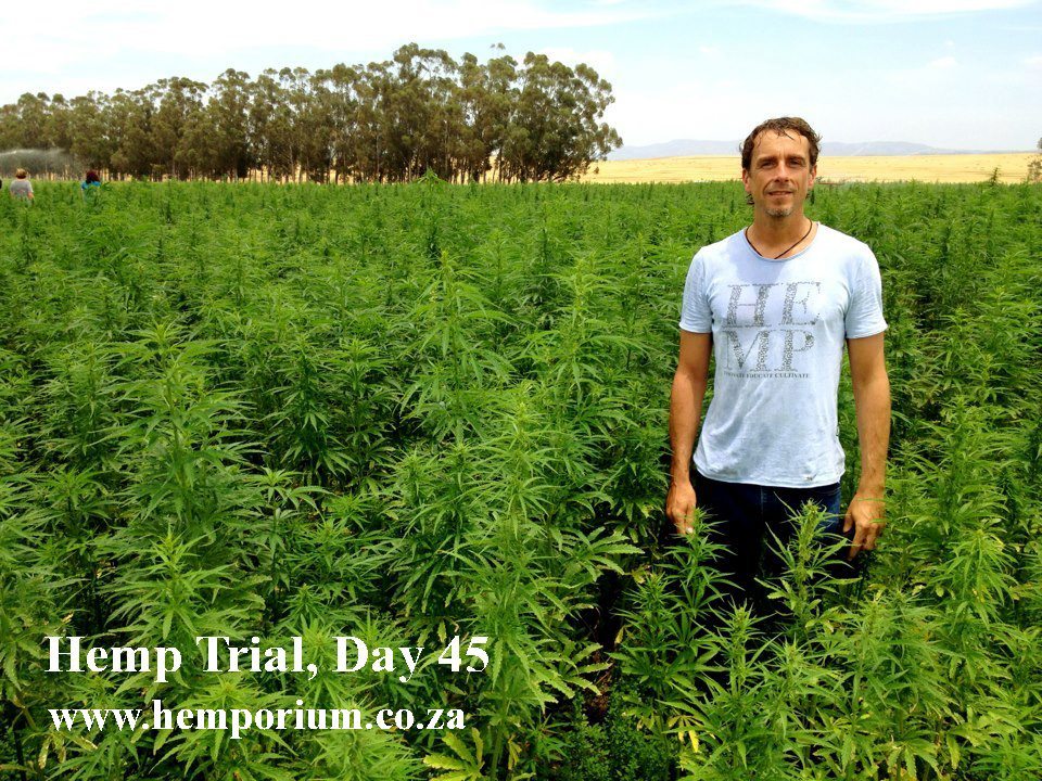 Day 45 Tony in Field
