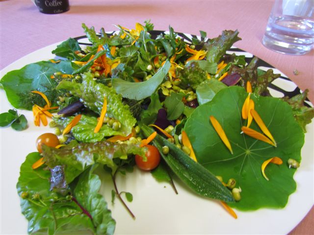 Wild lunch