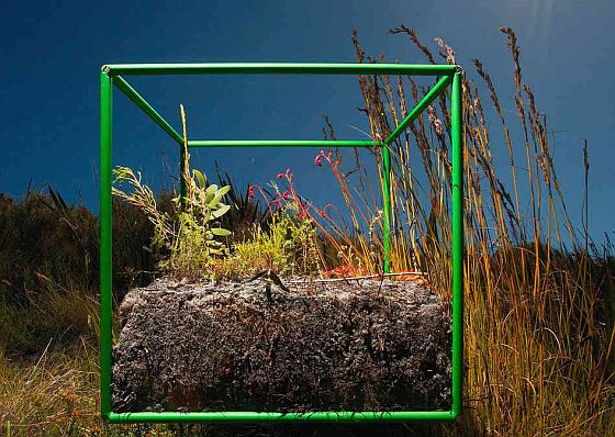 a-world-in-one-cubic-foot-ocean-floor