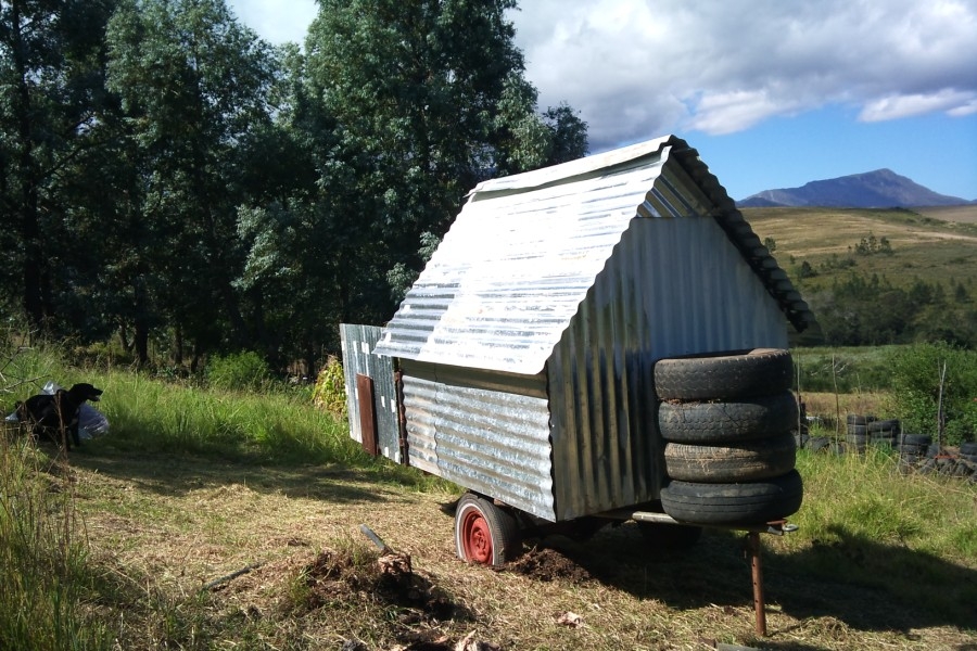 organic column - chicken tractor