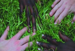 new course for sustainable development education