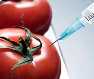 petition for labelling gm food - 2 days left!
