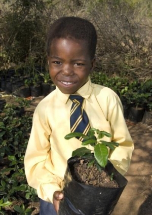 tree-preneurs feed families &amp; green the environment