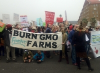 Calls for the ‘Monsantrocity’ to end 