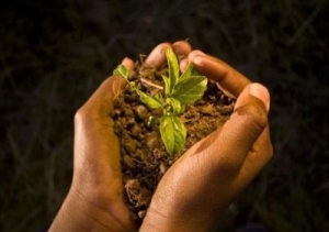  WESSA: educating kids on conserving the planet