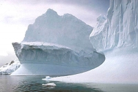 Threat of aliens in antarctica