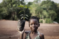 Trees for Zambia to inspire a culture of tree planting