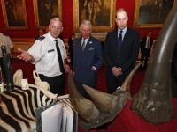 Ending illegal wildlife trade with British Royalty