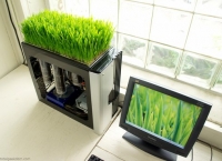&#039;Bio Computer&#039; Blends Tech &amp; Organic