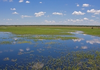 Platinum mine planned near Nylsvlei floodplain