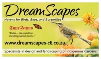 Dreamscapes