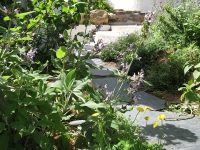 Realizing the full potential of your Garden