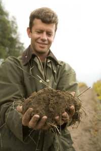 Rolling hills bring forth heavenly organic wine