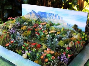 Kirstenbosch exhibit off to Chelsea 