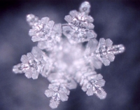 Scientists investigate water memory