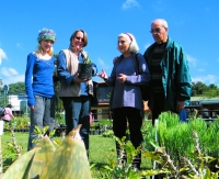 Sustainable Living and Indigenous Plant Fair (SLIP)