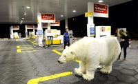 Shell Arctic drilling rig aground in Gulf of Alaska