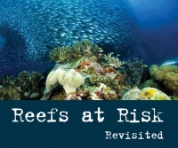 85% of reefs in the Coral Triangle are threatened