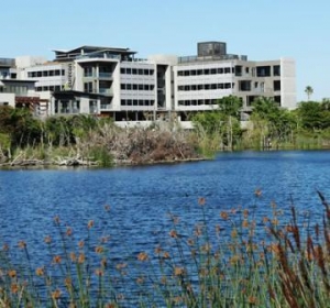 Green Star buildings on the rise
