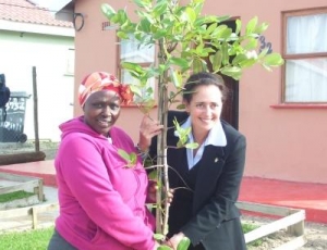 Blitz Houses receive garden trees