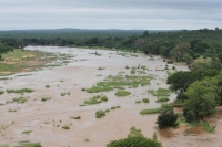 Acid mine drainage to be pumped into already ailing rivers
