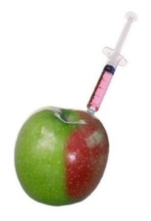 eu parliament strengthens draft laws to ban gm crops