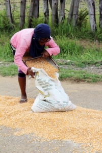 Women Weather Climate Change