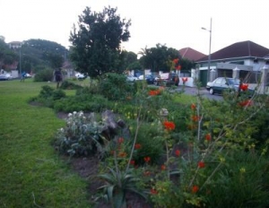 soil community project