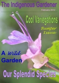 Grow your green fingers