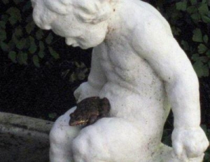 Freddie the frog 