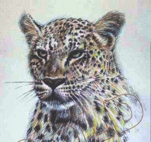 Blood Spots Leopard 