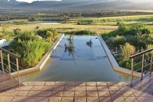 waverley hills organic farm