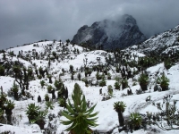 Winter weather brings severe risks for SA business