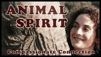 Animal Spirit