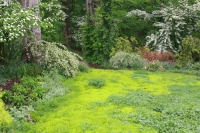 All green fingers on deck