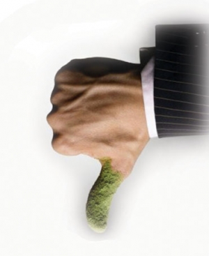  sa business doesn&#039;t measure up to green
