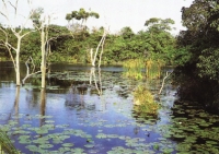 Lifeline of a Healthy Ecosystem - World Wetlands Day