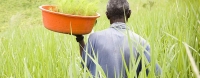 Africa can choose a sustainable future