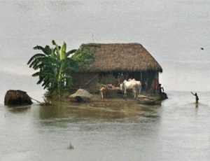 adaptation governance essential in africa
