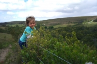 Foxglove organic stories Pt. 2: Up to my elbows