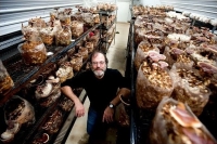Saving the world with mushrooms