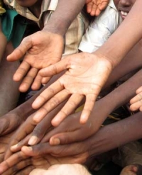 4 in 10 Cape Town households go hungry