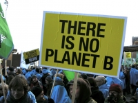 Sustainability Pioneers unite in Cape Town