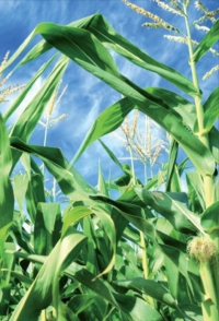 Let's keep the farmers informed