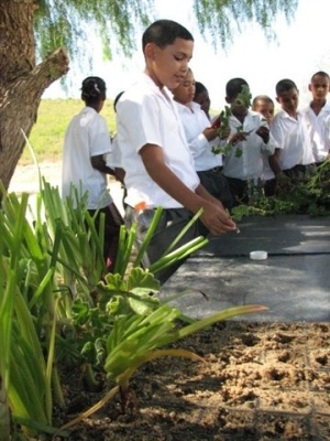 Organic farm spreads the green message
