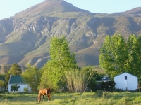 Bringing sustainability back to Greyton