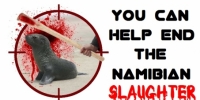 help stop the Nam seal slaughter