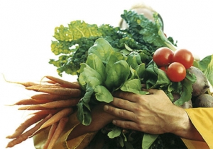 organic food is still tops