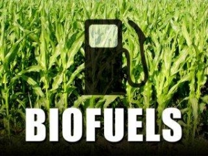 Stellenbosch biofuels company brings USA technology to SA