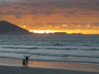 Tasting the goodness of green wines at sunset
